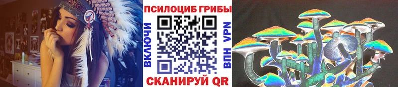 Галлюциногенные грибы Cubensis  Купить  Барабинск 