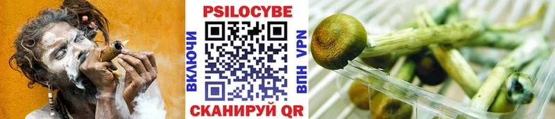 Галлюциногенные грибы прущие грибы Барабинск
