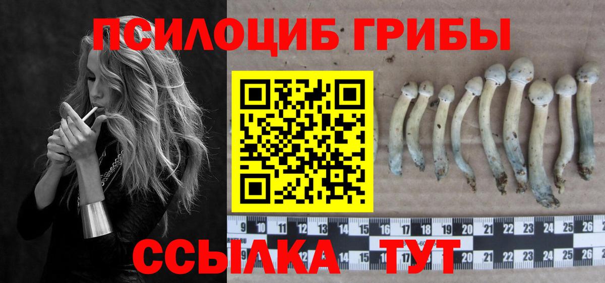 Псилоцибиновые грибы ЛСД Барабинск
