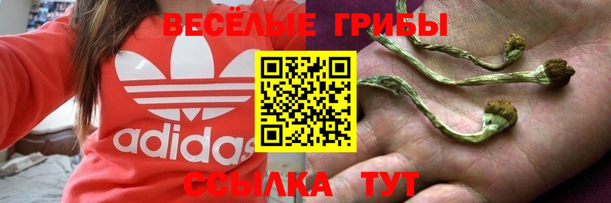 МЕТАДОН  Каннабис  Бошки Шишки  Метамфетамин  ГАШ  Барабинск  Кокаин  АМФ кристаллы  Меф кристаллы  Гашиш 